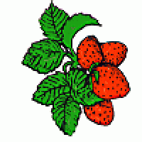 Strawberry