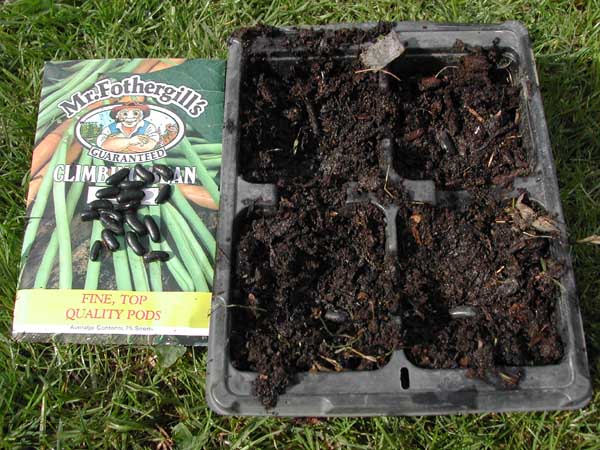 Climbing beans and pots